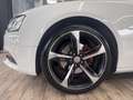 Audi A5 Sportback 2.0TDI Multitronic 177 Blanc - thumbnail 9