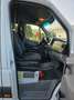 Mercedes-Benz Sprinter 313 (Stock ID 52310) Wit - thumbnail 14