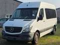 Mercedes-Benz Sprinter 313 (Stock ID 52310) Wit - thumbnail 1