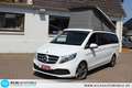 Mercedes-Benz V 300 d Marco Polo HORIZON EDITION e.HGSD=Bett Weiß - thumbnail 1