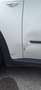 BMW X5 X5 xDrive30d Aut. Alb - thumbnail 12