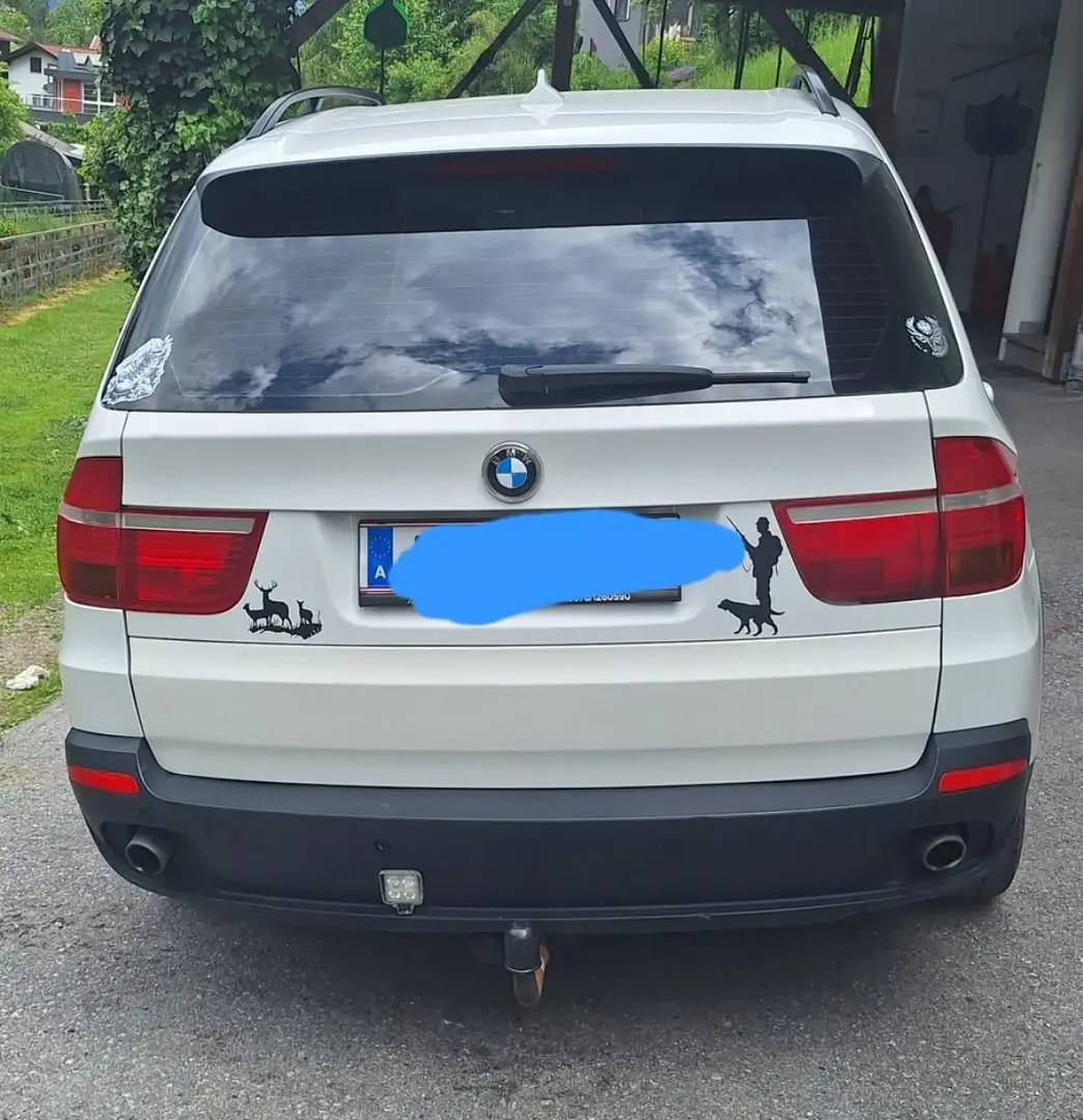 BMW X5 X5 xDrive30d Aut. Alb - 1