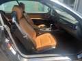BMW 320 3 Cabrio 320i"Leder"Xenon"Klimaaut."SHZ"Tempomat Schwarz - thumbnail 10