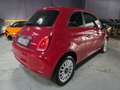 Fiat 500 KM 15.000 1.0 BENZINA HYBRID CARPLAY Rouge - thumbnail 7