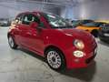 Fiat 500 KM 15.000 1.0 BENZINA HYBRID CARPLAY Rouge - thumbnail 1