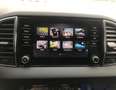 Skoda Karoq KAROQ 2.0 TDI EVO SCR 115 CV DSG STYLE Blauw - thumbnail 20