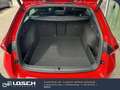 Skoda Octavia Sportline Rouge - thumbnail 6