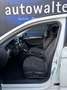 Volkswagen Passat Variant Basis Bianco - thumbnail 10