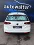Volkswagen Passat Variant Basis Bianco - thumbnail 6