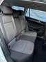Volkswagen Passat Variant Basis Blanc - thumbnail 16