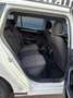Volkswagen Passat Variant Basis Bianco - thumbnail 12