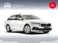 Skoda Octavia Ambition TDI Weiß - thumbnail 1