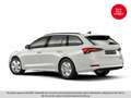 Skoda Octavia Ambition TDI Weiß - thumbnail 5