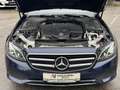 Mercedes-Benz E 220 d Avantgarde Aut.+Navi+R-Kamera+Leder+AHK Blau - thumbnail 15
