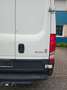 Iveco Daily Kasten HKa 35 S ... V Radstand 3520 L Alb - thumbnail 6