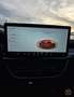 Ford Focus Turnier 1.0 EcoBoost Hybrid Aut. ST-LINE Gris - thumbnail 15