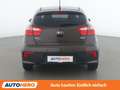 Kia Rio 1.2 Team Austria Edition Braun - thumbnail 5