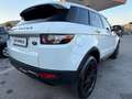 Land Rover Range Rover Evoque Range Rover Evoque I  5p 2.2 td4 Pure 150cv Bianco - thumbnail 4