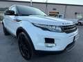 Land Rover Range Rover Evoque Range Rover Evoque I  5p 2.2 td4 Pure 150cv Bianco - thumbnail 3