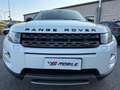 Land Rover Range Rover Evoque Range Rover Evoque I  5p 2.2 td4 Pure 150cv Bianco - thumbnail 2
