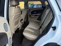 Land Rover Range Rover Evoque Range Rover Evoque I  5p 2.2 td4 Pure 150cv Bianco - thumbnail 14