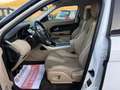 Land Rover Range Rover Evoque Range Rover Evoque I  5p 2.2 td4 Pure 150cv Bianco - thumbnail 7