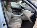 Land Rover Range Rover Evoque Range Rover Evoque I  5p 2.2 td4 Pure 150cv Bianco - thumbnail 12