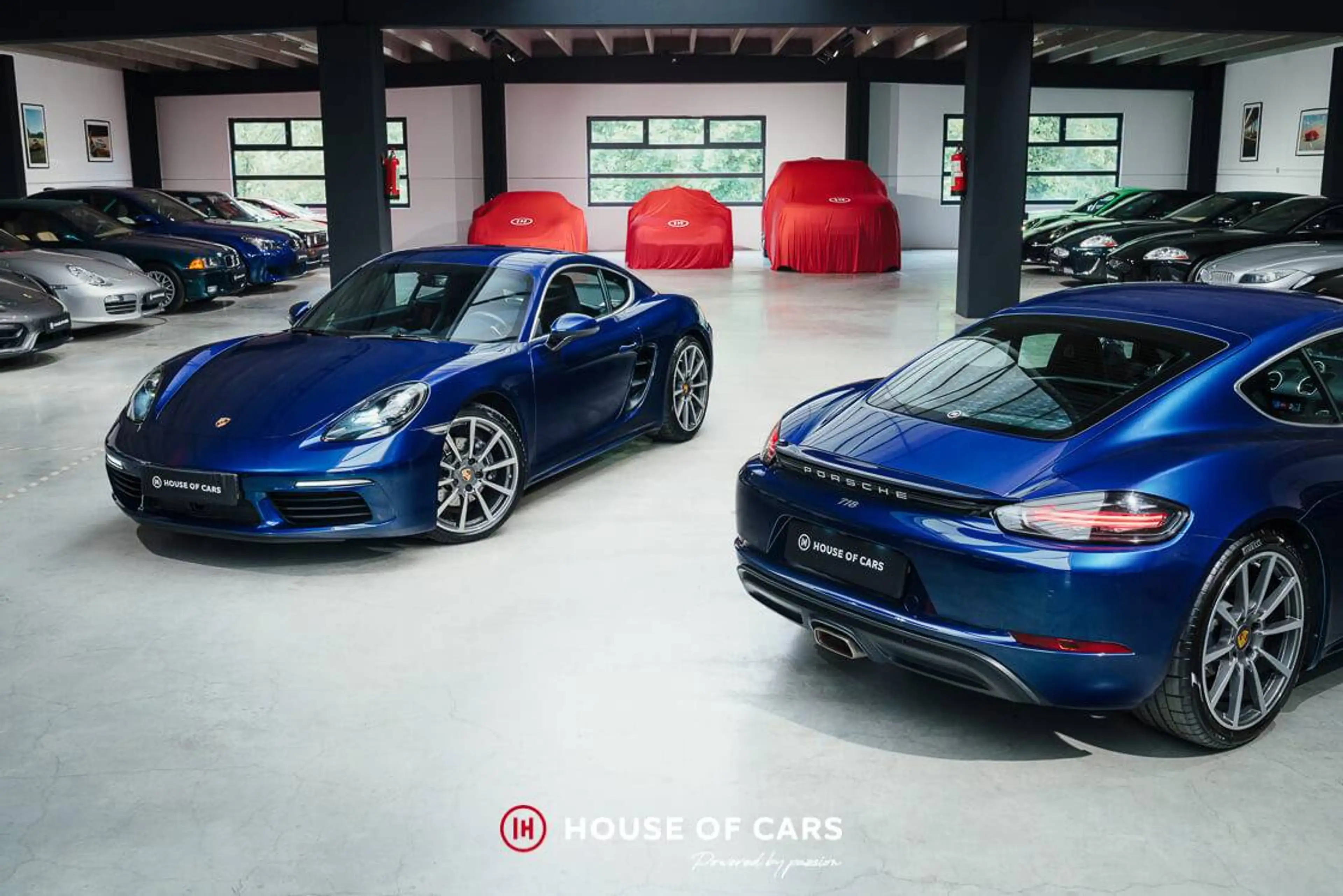 Porsche 718 Cayman PDK - Gentian Blue Met. - 1st paint