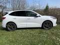 Ford Kuga Plug-In Hybrid ST-Line X Weiß - thumbnail 2