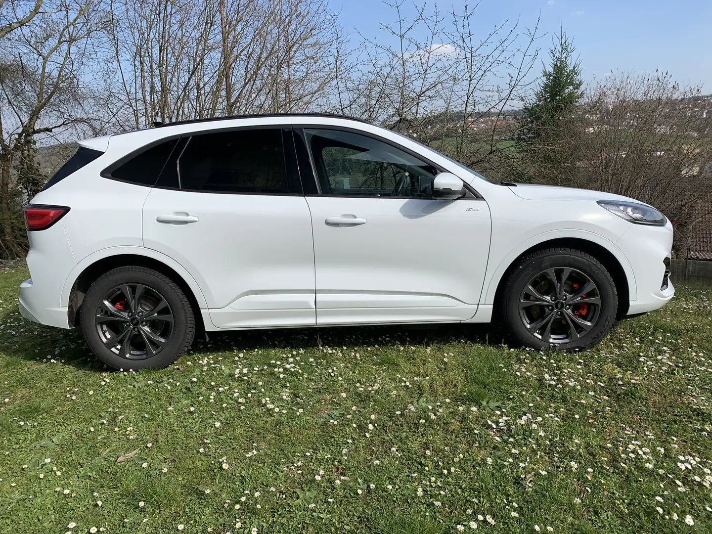 Ford Kuga Plug-In Hybrid ST-Line X Weiß - 2