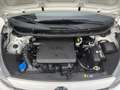 Kia Picanto 1,0 MPI SHZ, LHZ, KLIMA, AUX, USB, BLUETOOTH USW. Weiß - thumbnail 24