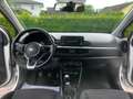 Kia Picanto 1,0 MPI SHZ, LHZ, KLIMA, AUX, USB, BLUETOOTH USW. Weiß - thumbnail 12