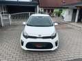 Kia Picanto 1,0 MPI SHZ, LHZ, KLIMA, AUX, USB, BLUETOOTH USW. Weiß - thumbnail 5