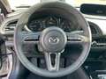 Mazda CX-30 e-Skyactive G140 Homura Aut. Blau - thumbnail 9
