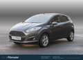 Ford Fiesta Titanium Grau - thumbnail 1