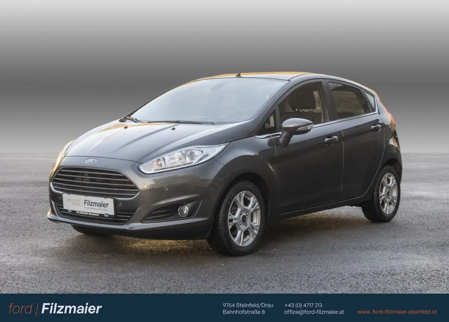 Ford Fiesta Titanium Grau - 1
