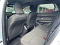 Dacia Duster Journey HYBRID 140 SHZ KLIMAAUT. NAVIGATION Weiß - thumbnail 20