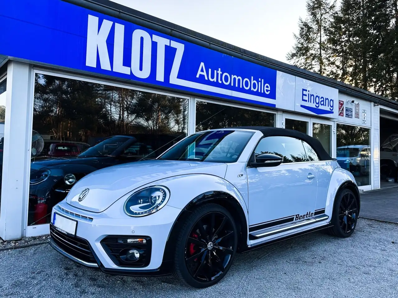 Volkswagen Beetle