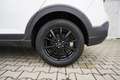 Volkswagen Taigo 1.0TSI Navi/MirrorLi SHZ PDC Tempomat Wit - thumbnail 3