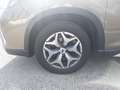 Subaru Forester 2,0i e-Boxer Style AWD Aut. Braun - thumbnail 22