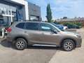 Subaru Forester 2,0i e-Boxer Style AWD Aut. Braun - thumbnail 4
