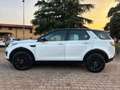 Land Rover Discovery Sport Discovery Sport 2.0 TD4 180 CV HSE Luxury Bianco - thumbnail 9