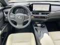 Lexus UX 250h Executive Line ACC FLA HUD LM KAM LED Gris - thumbnail 10