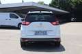 Renault Scenic Grand Scenic IV 1.3 TCe 140 Grand BOSE-Edition  BC Weiß - thumbnail 6
