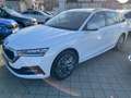 Skoda Octavia Combi 2.0 TDI DSG Tour beheiz. WSS Weiß - thumbnail 3