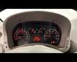 Fiat Panda 4x4 1.2  Climbing Blauw - thumbnail 10
