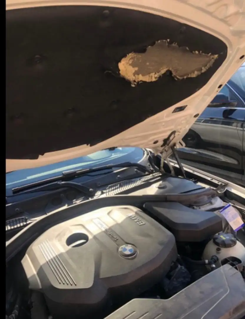 BMW 118 118i Advantage Weiß - 2