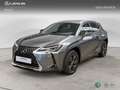 Lexus UX 200 SUV BUSINESS 2.0 Híbrido Gasolina Transmisión Au Grau - thumbnail 1