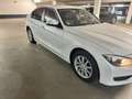 BMW 316 316 i Weiß - thumbnail 4