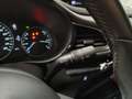 Mazda CX-30 2.0L Skyactiv-X M Hybrid 186 CV  Executive Navi 18 Szary - thumbnail 19